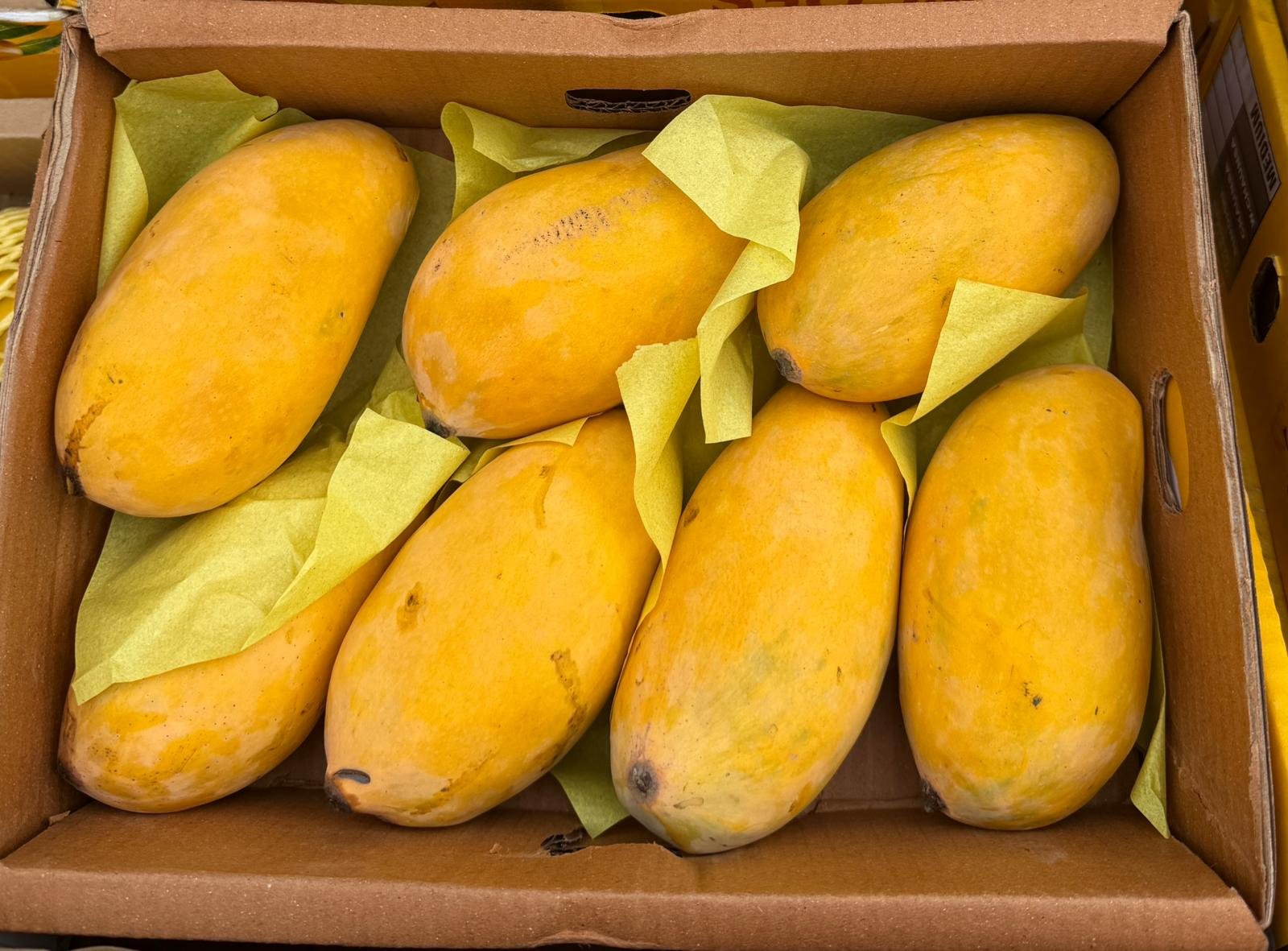 Sindhri Mangoes