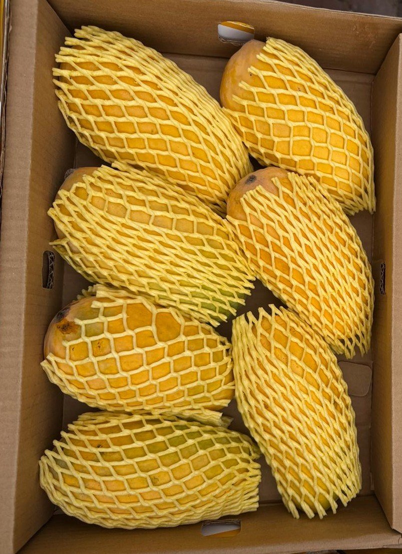 Extra Large Box 7-8 Jumbo Size Mangoes Pieces Pakistani Sindhri Mangoes